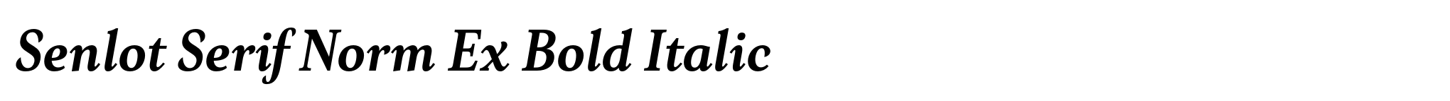 Senlot Serif Norm Ex Bold Italic image